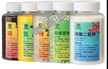 北京雷邦斯生物科技有限公司_http://readbangkokpost.com_工程案例_第3張