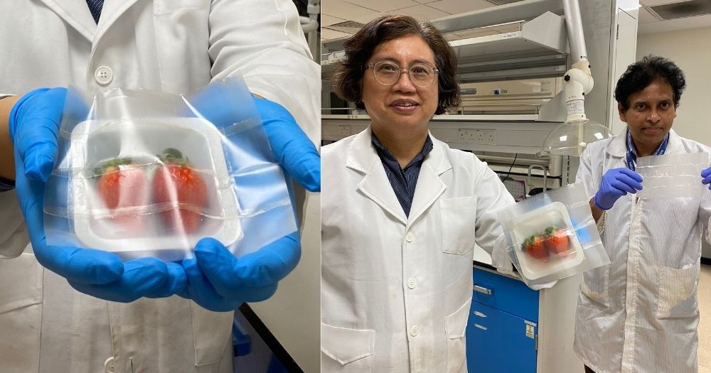 可生物降解的柔性食品包裝_http://readbangkokpost.com_新聞資訊_第1張