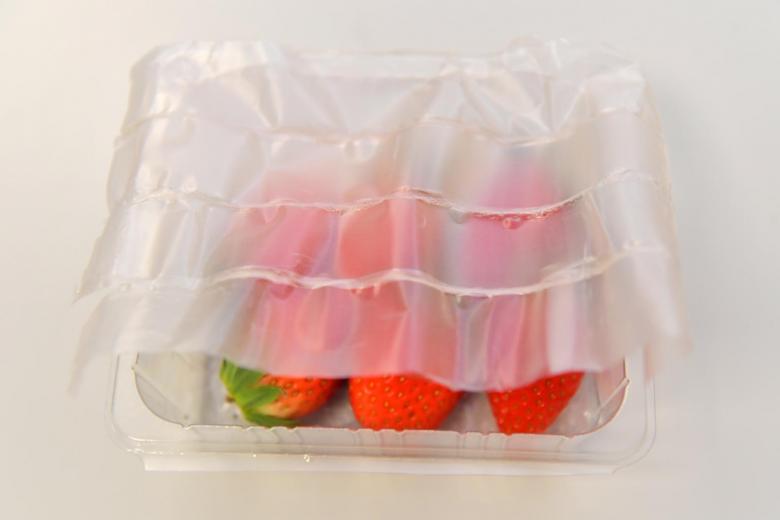 可生物降解的柔性食品包裝_http://readbangkokpost.com_新聞資訊_第2張